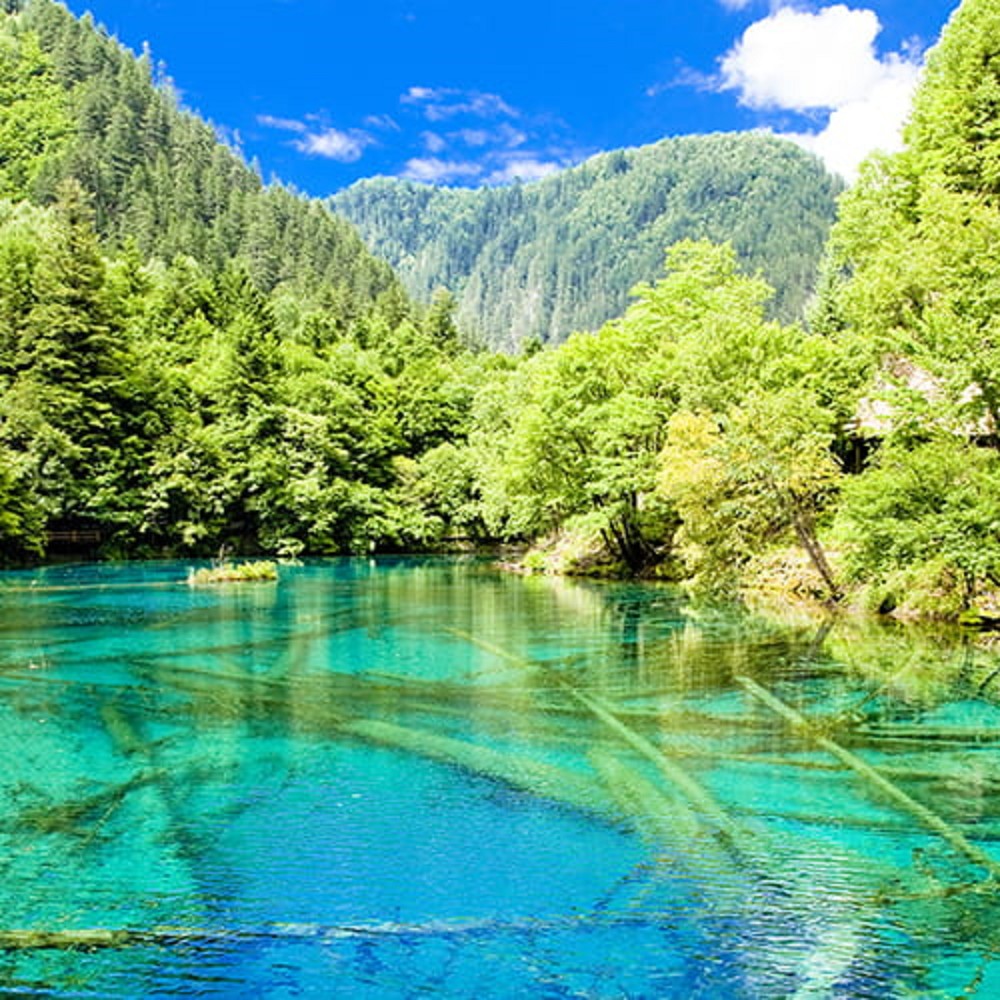 府城旅行社Rey的旅遊天地