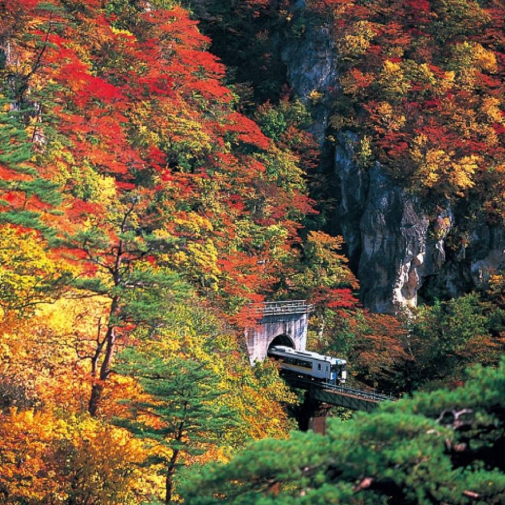 嘉瑞旅行社