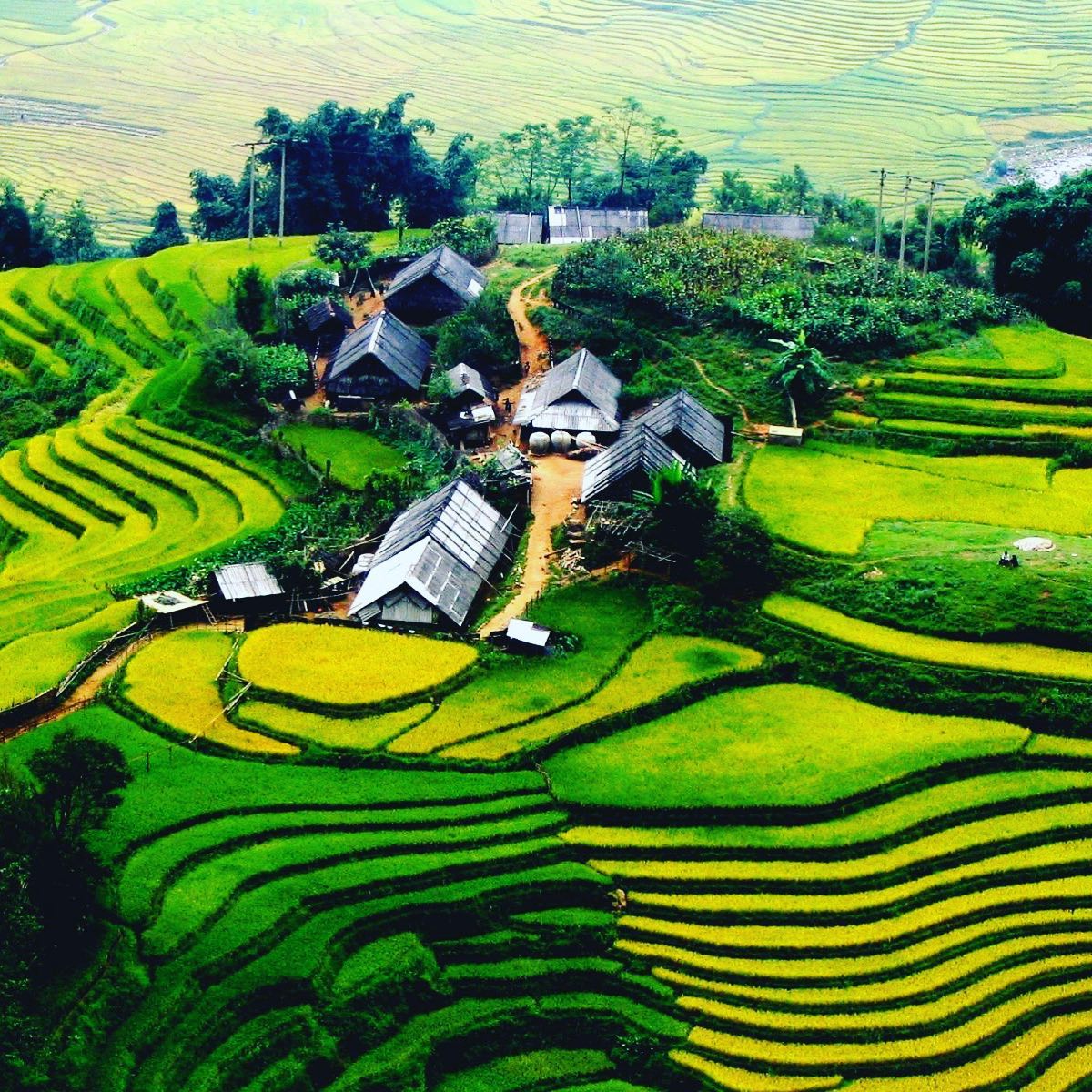 府城旅行社Rey的旅遊天地