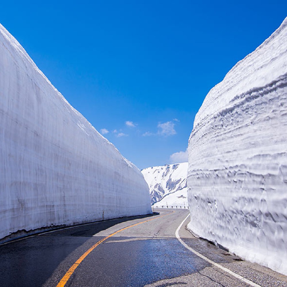 府城旅行社Rey的旅遊天地